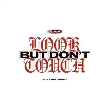Look But Don't Touch