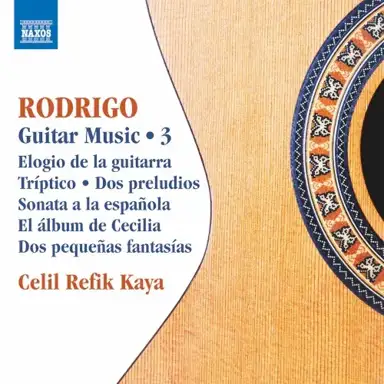 Guitar Music • 3