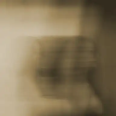 Polymorph EP
