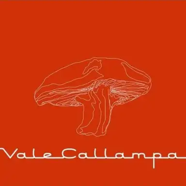 Vale callampa