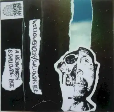 Willowbrook / Swallowing Bile