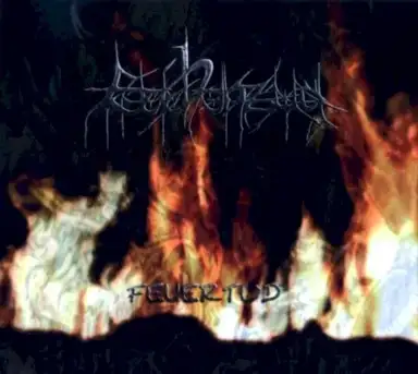 Feuertod / Death in Its Nicest Forms