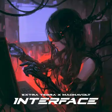 Interface