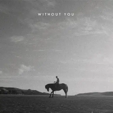 Without You
