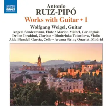 Works with Guitar • 1