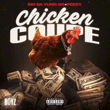 Chicken Coupe