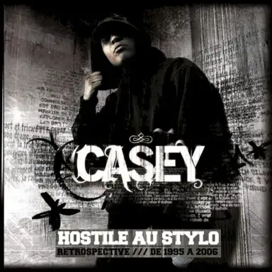 Hostile au Stylo (Retrospective de 1995 à 2006)