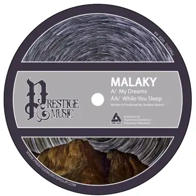 My Dreams / While You Sleep