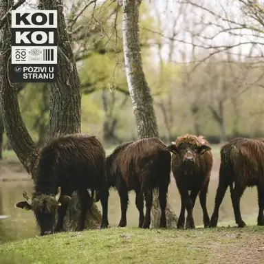Pozivi u stranu
