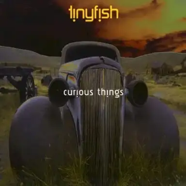Curious Things