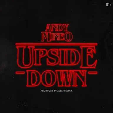 The Upside Down