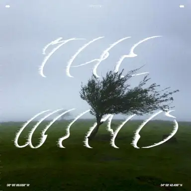 The Wind