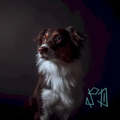 Ellie