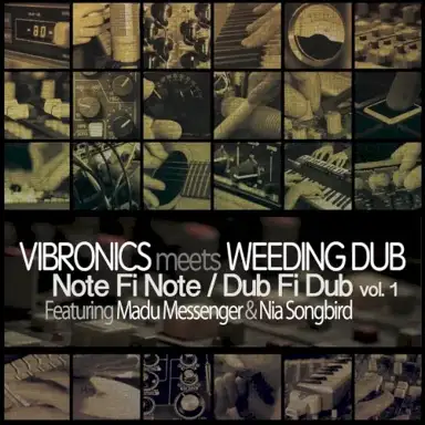 Note Fi Note / Dub Fi Dub vol.1