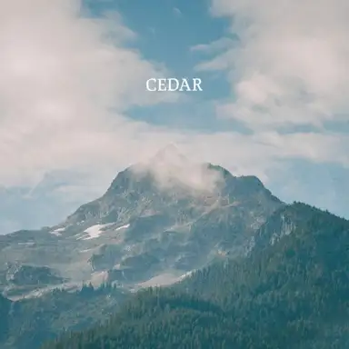 Cedar