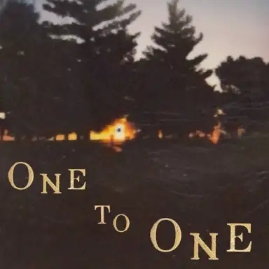 one to one (demo)