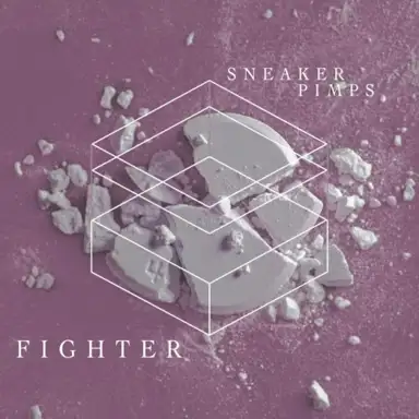 Fighter