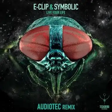 Live Your Life (Audiotec remix)