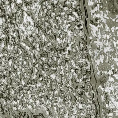 NAHA-HEAVYMETALLIC