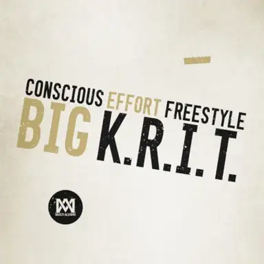 Conscious Effort Freestyle