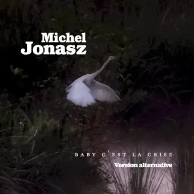 Baby c’est la crise (version alternative)
