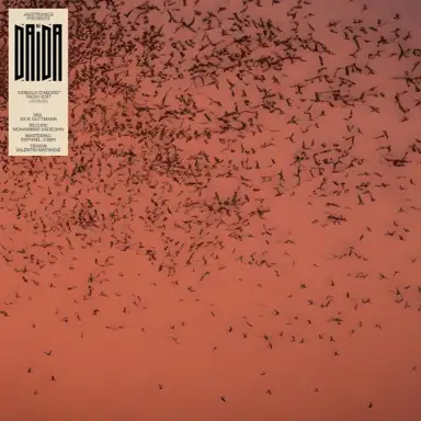 Oiseaux d’abord