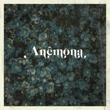 Anêmona