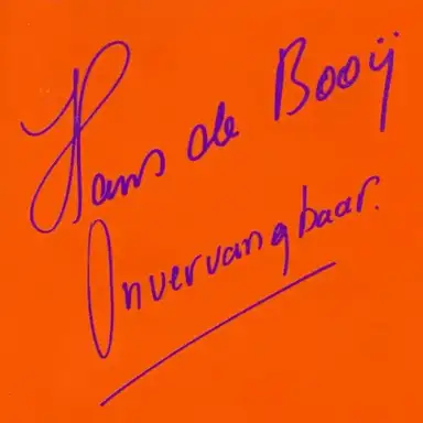 Onvervangbaar