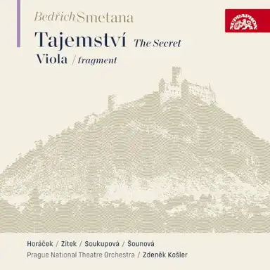 The Secret and Viola (fragment)