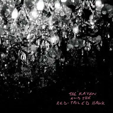The Raven and the Red‐Tailed Hawk
