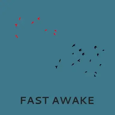 Fast Awake