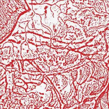 Materializing Defective Fascia