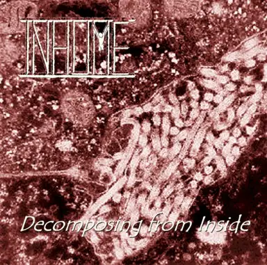 Decomposing From Inside