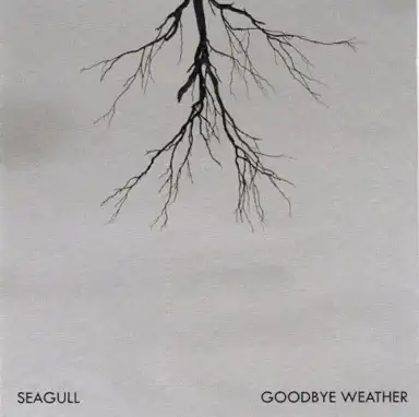 Goodbye Weather