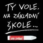 Ty vole, na základní škole...