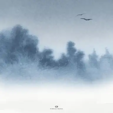 illusion