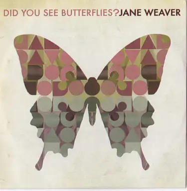 Did You See Butterflies?