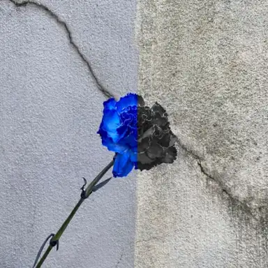 What Is Love