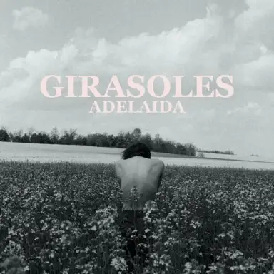 Girasoles