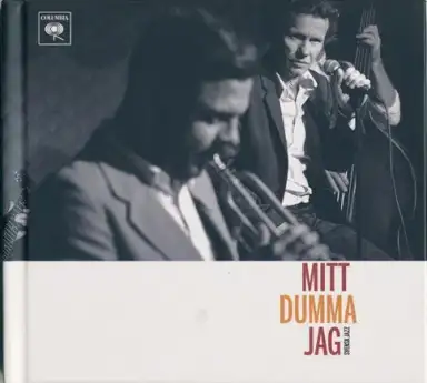 Mitt Dumma Jag