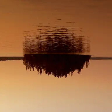 Chemin de la baie (Swervedriver remix)