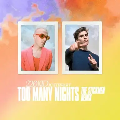 Too Many Nights (The Stickmen remix)