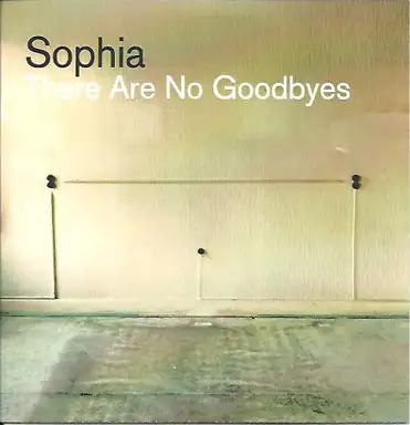 There Are No Goodbyes