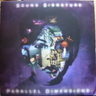 Parallel Dimensions