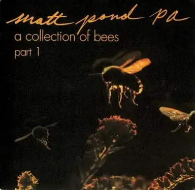 A Collection of Bees, Part 1
