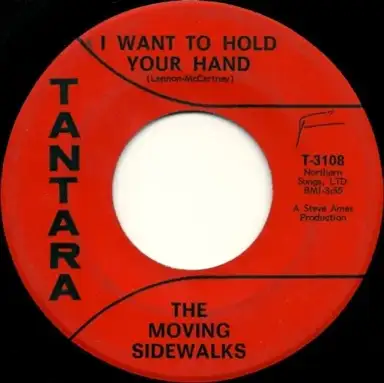 I Want To Hold Your Hand / Joe Blues