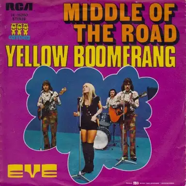 Yellow Boomerang
