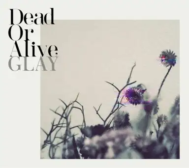 Dead Or Alive