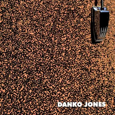 Danko Jones