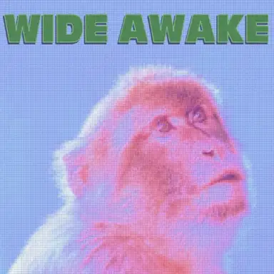Wide Awake